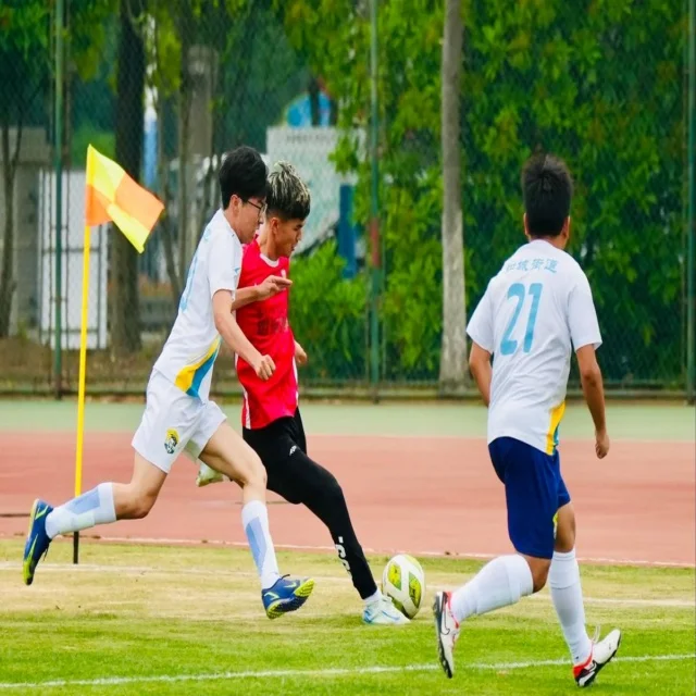 孙杨在冠军赛再创佳绩